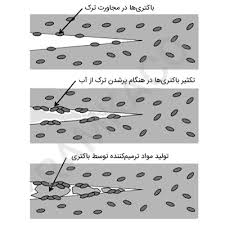 بتن خود ترمیم